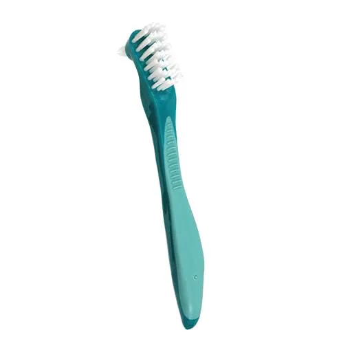 مسواک Denture