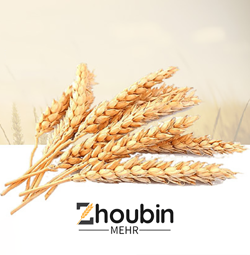 شرکت صنایع غذایی ژوبین مهر