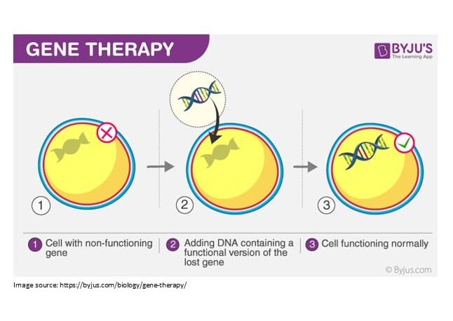 Gene Therapy Diagram and elaboration in 3 stages